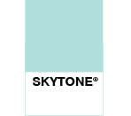 Skytone Case Study website design